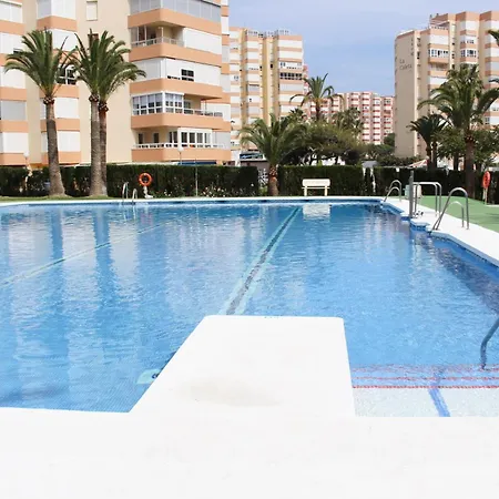 Solymar 85